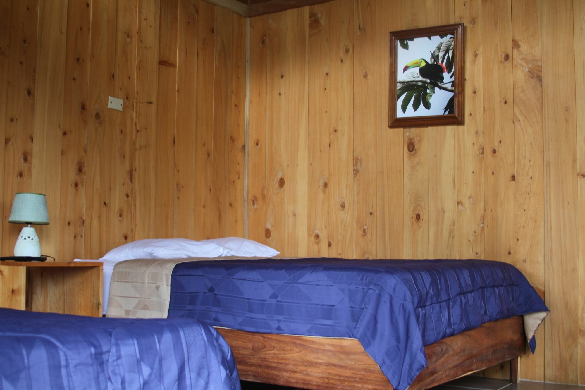 Campo Verde B&B - Monteverde Costa Rica エクステリア 写真